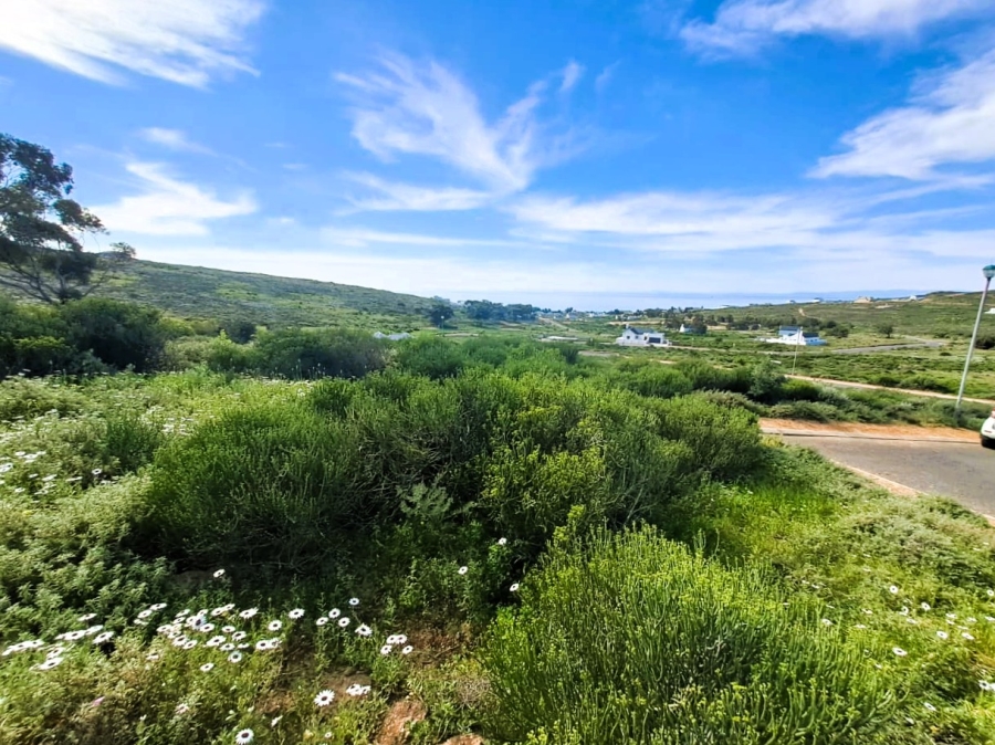 0 Bedroom Property for Sale in Steenbergs Cove Western Cape